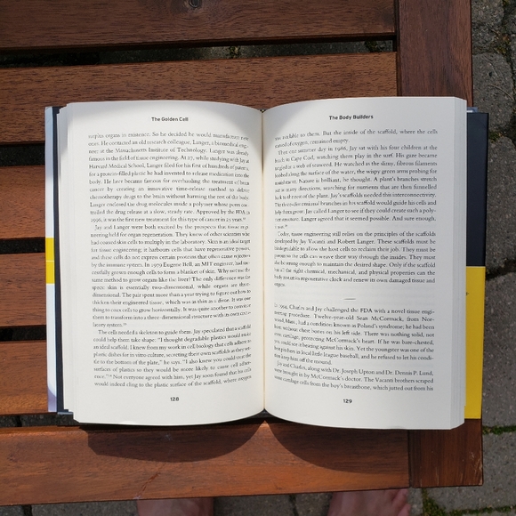 Book | The Golden Cell - Picture 4 of 4